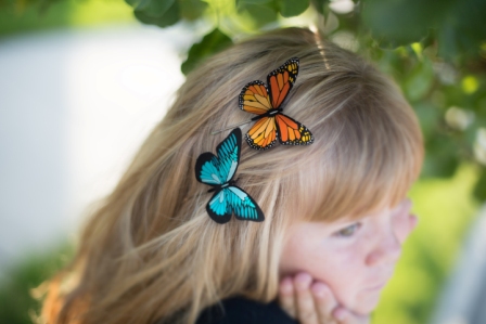 duct tape Butterfly